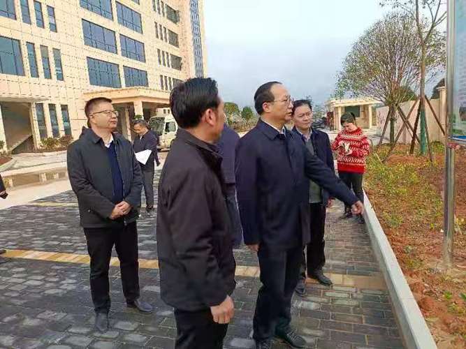 市县动态王少玄实地查看了公司醪桥惠农服务中心育秧工厂和秸秆回收
