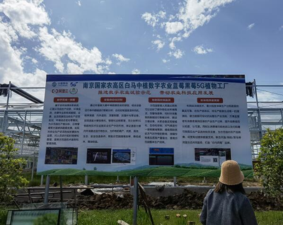 探访南京溧水白马镇数字化建设:信息技术成为激活乡村振兴的新动能